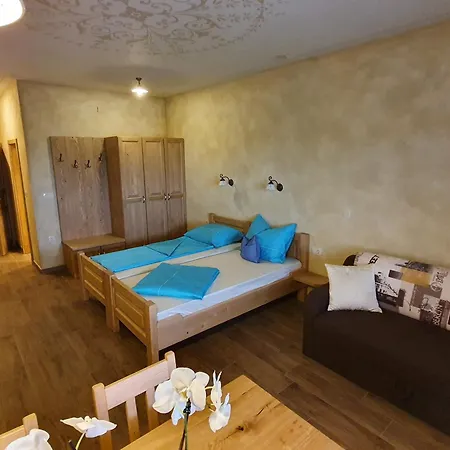 Apartmaji Bršca Begunje na Gorenjskem Exteriér fotografie